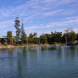 秋晴れのフィッシングパーク高島の泉で釣りまくる